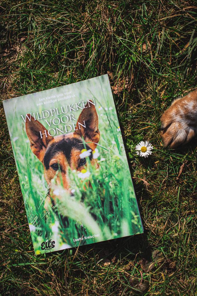 Wildplukken voor honden | Boek