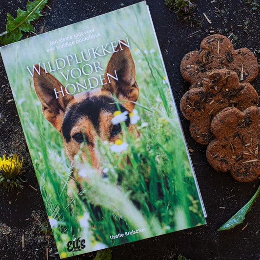 Wildplukken voor honden | Boek