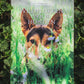 Wildplukken voor honden | Boek