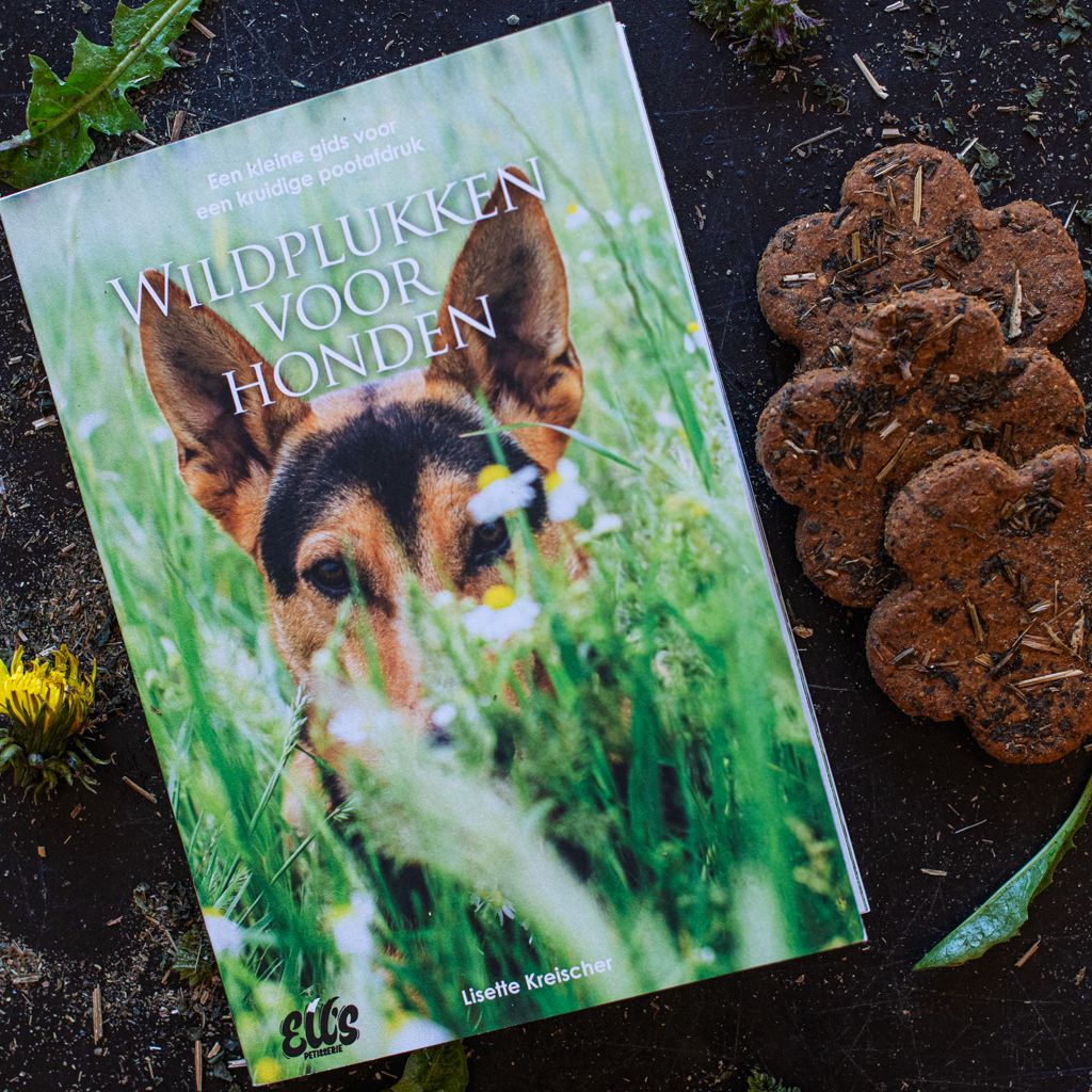 Wildplukken voor honden | Boek